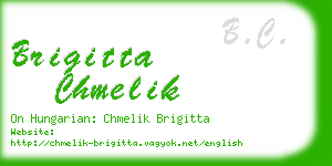 brigitta chmelik business card